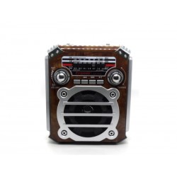 RADIO ECOPOWER  BAT/REG/SD/USB/BT/EP-F91